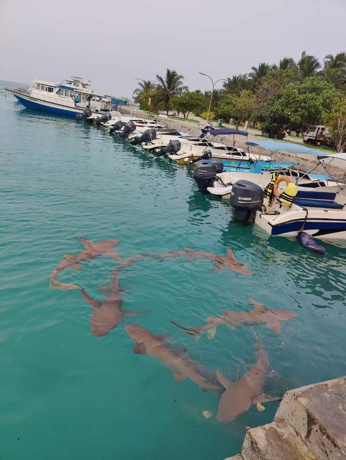 Rashuthere Maldives Rasdhoo Eksteriør billede